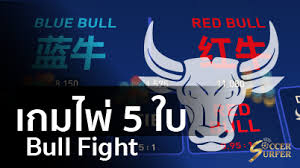ไพ่ 5 ใบ | Bull Fight